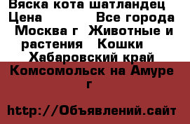 Вяска кота шатландец › Цена ­ 1 000 - Все города, Москва г. Животные и растения » Кошки   . Хабаровский край,Комсомольск-на-Амуре г.